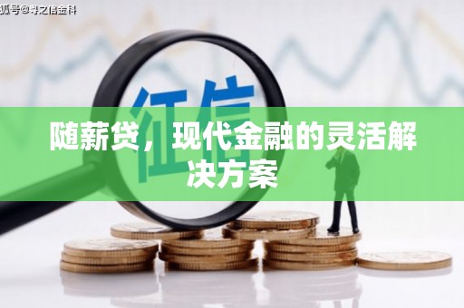 大甲随薪贷，现代金融的灵活解决方案