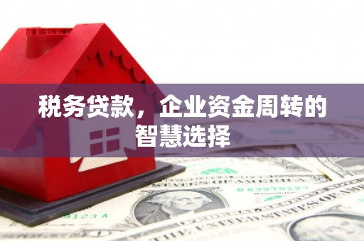 大甲税务贷款，企业资金周转的智慧选择