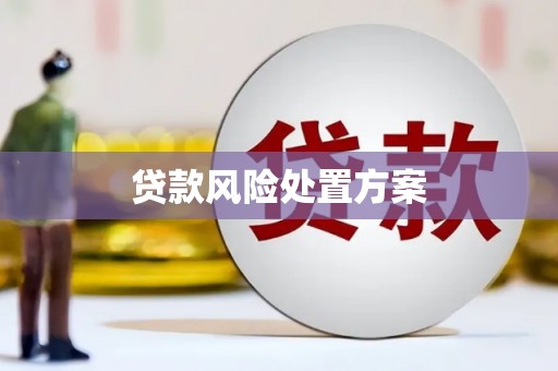 大甲贷款风险处置方案