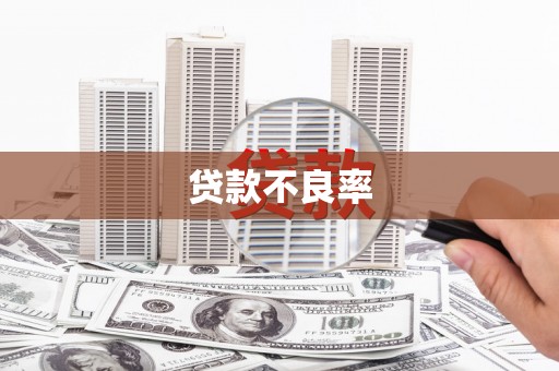 大甲贷款不良率
