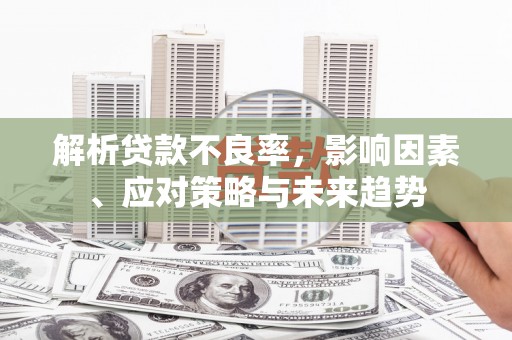 大甲解析贷款不良率，影响因素、应对策略与未来趋势