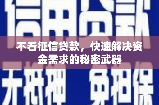 大甲不看征信贷款，快速解决资金需求的秘密武器