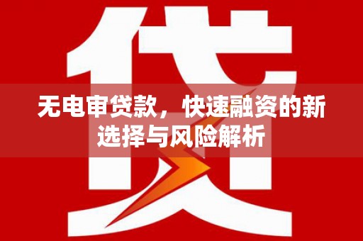 大甲无电审贷款，快速融资的新选择与风险解析