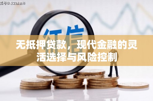 大甲无抵押贷款，现代金融的灵活选择与风险控制