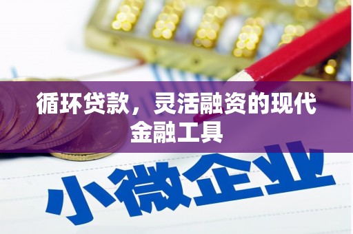 大甲循环贷款，灵活融资的现代金融工具