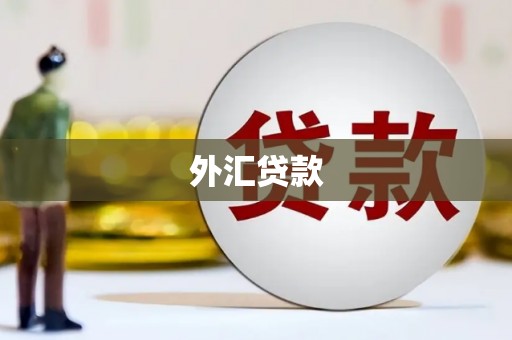 大甲外汇贷款