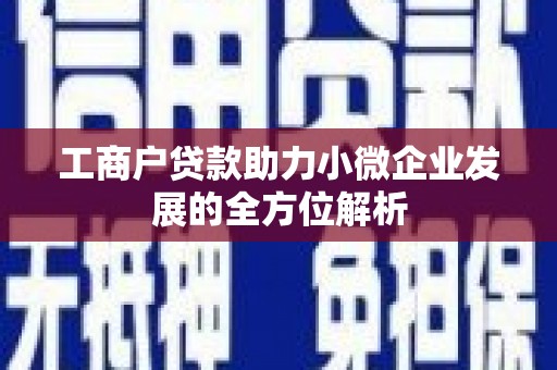 大甲工商户贷款助力小微企业发展的全方位解析