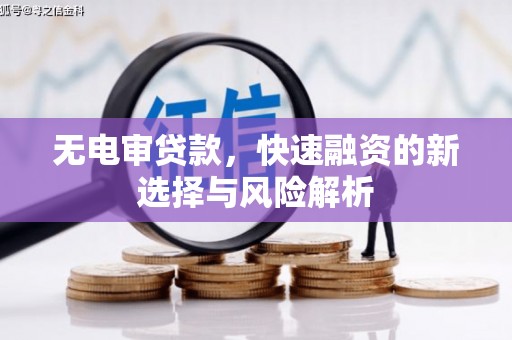 大甲无电审贷款，快速融资的新选择与风险解析