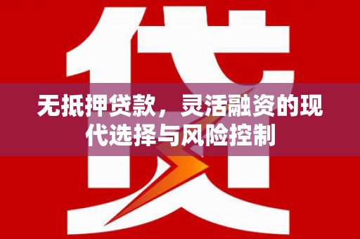 大甲无抵押贷款，灵活融资的现代选择与风险控制