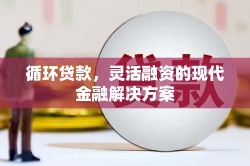 大甲循环贷款，灵活融资的现代金融解决方案