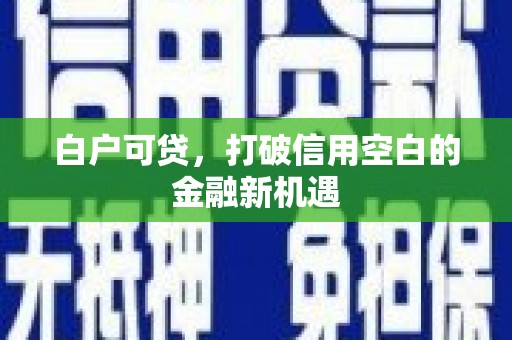 大甲白户可贷，打破信用空白的金融新机遇