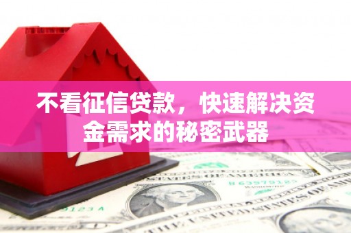 大甲不看征信贷款，快速解决资金需求的秘密武器