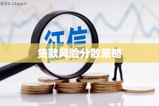 大甲贷款风险分散策略