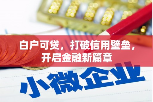 大甲白户可贷，打破信用壁垒，开启金融新篇章