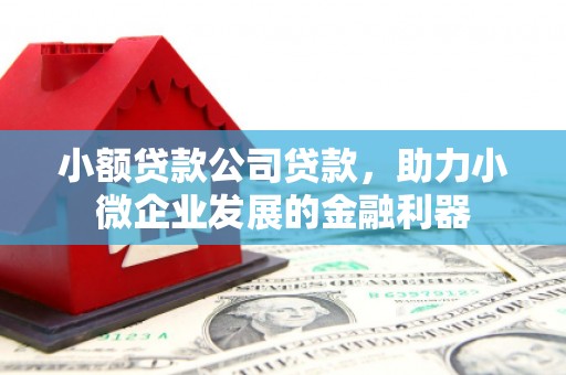 大甲小额贷款公司贷款，助力小微企业发展的金融利器