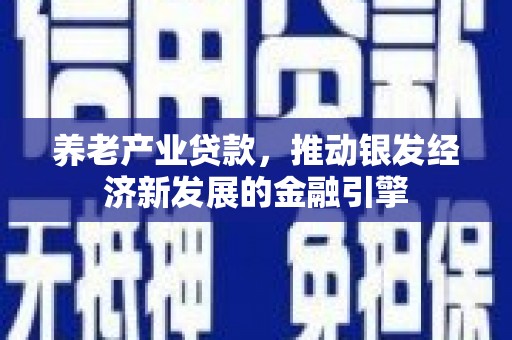 大甲养老产业贷款，推动银发经济新发展的金融引擎