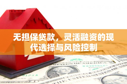 大甲无担保贷款，灵活融资的现代选择与风险控制