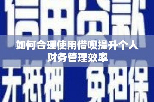 大甲如何合理使用借呗提升个人财务管理效率
