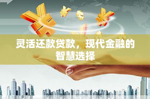 大甲灵活还款贷款，现代金融的智慧选择