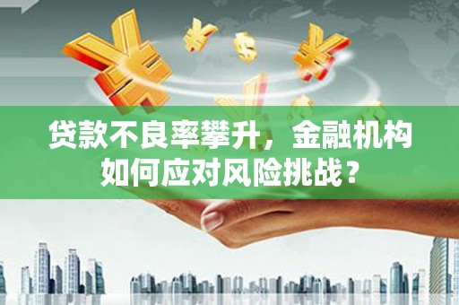 大甲贷款不良率攀升，金融机构如何应对风险挑战？