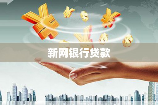 大甲新网银行贷款