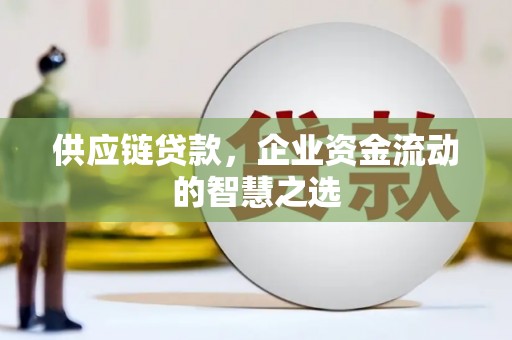 大甲供应链贷款，企业资金流动的智慧之选