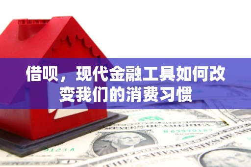 大甲借呗，现代金融工具如何改变我们的消费习惯