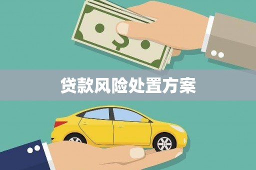 大甲贷款风险处置方案