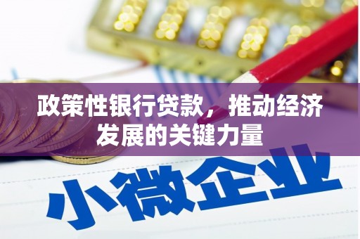 大甲政策性银行贷款，推动经济发展的关键力量