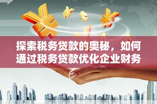 大甲探索税务贷款的奥秘，如何通过税务贷款优化企业财务