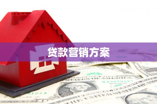 大甲贷款营销方案