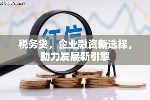 大甲税务贷，企业融资新选择，助力发展新引擎