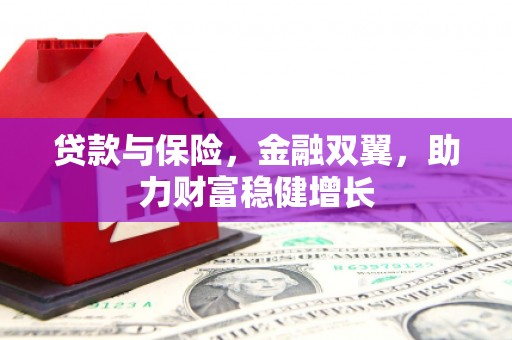 大甲贷款与保险，金融双翼，助力财富稳健增长