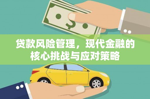 大甲贷款风险管理，现代金融的核心挑战与应对策略