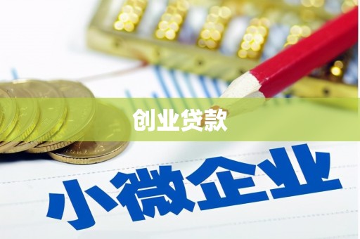 大甲创业贷款