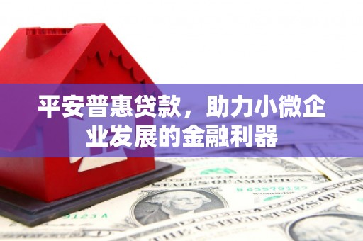 大甲平安普惠贷款，助力小微企业发展的金融利器