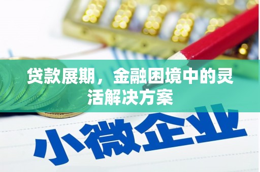 大甲贷款展期，金融困境中的灵活解决方案