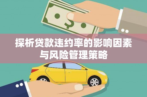 大甲探析贷款违约率的影响因素与风险管理策略