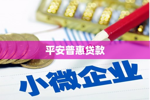 大甲平安普惠贷款