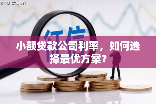 大甲小额贷款公司利率，如何选择最优方案？