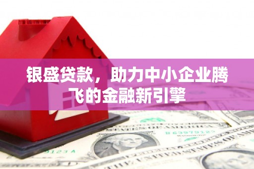 大甲银盛贷款，助力中小企业腾飞的金融新引擎