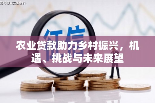 大甲农业贷款助力乡村振兴，机遇、挑战与未来展望