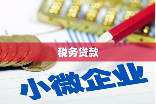 大甲税务贷款