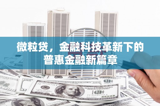 大甲微粒贷，金融科技革新下的普惠金融新篇章