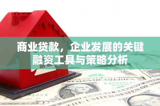 大甲商业贷款，企业发展的关键融资工具与策略分析