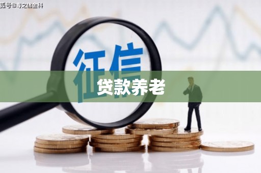 大甲贷款养老