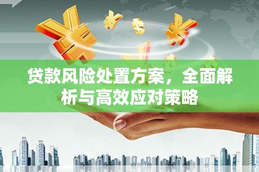 大甲贷款风险处置方案，全面解析与高效应对策略