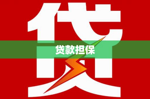 大甲贷款担保