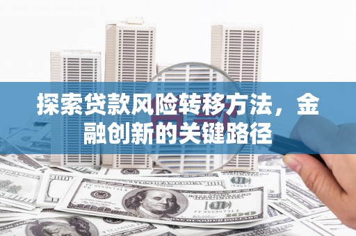大甲探索贷款风险转移方法，金融创新的关键路径