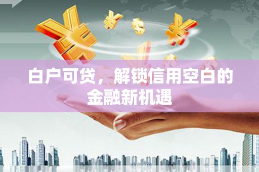 大甲白户可贷，解锁信用空白的金融新机遇